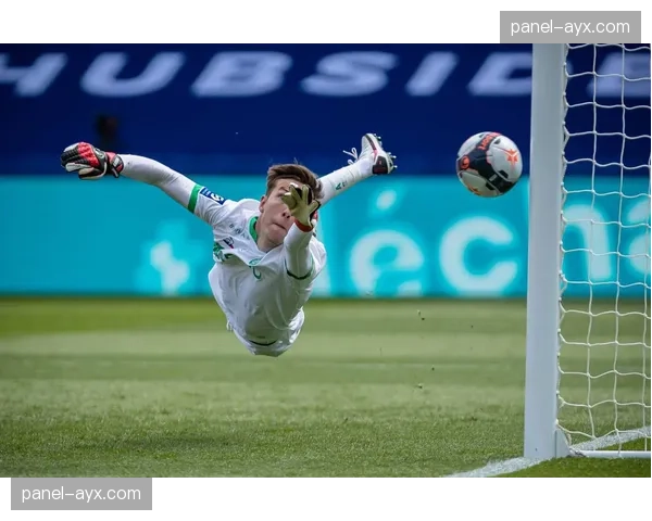 法甲俱乐部博物馆参观人数创新高，足球文化传播成效显著